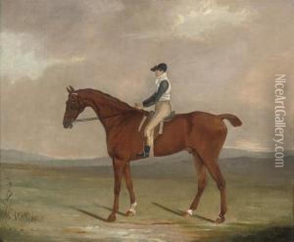 Racehorse Frillo Da Pieta With Jockey Up Oil Painting - Clifton Tomson