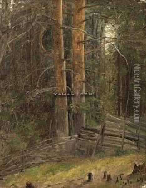 Skovinterior Oil Painting - Adolphe Tidemand