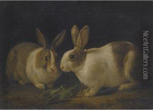 Two Dutch Rabbits With A Cabbage Leaf Oil Painting - Martin Ferdinand Quadal