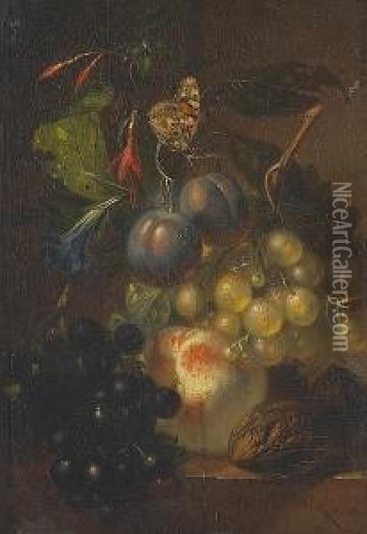 A Still Life With Grapes, A Peach, Plums And Walnuts On A Ledge With A Butterfly Above Oil Painting - Albertus Steenbergen