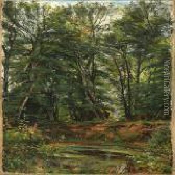 A Forest At Summertime Oil Painting - Frederik Winther