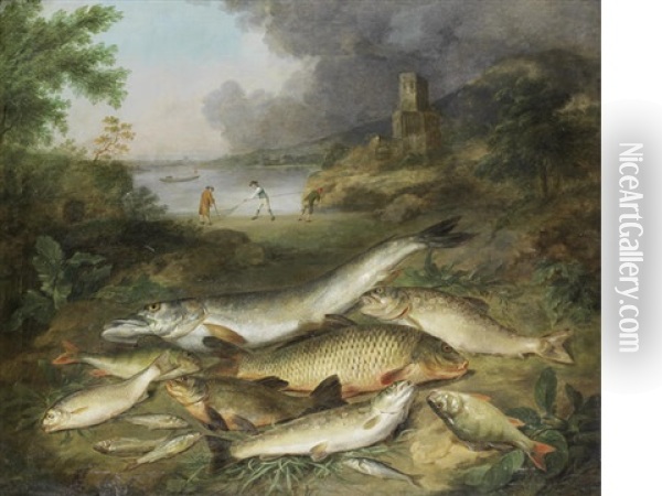 Pike, Trout, Carp, Perch And Other Fish On A River Bank Oil Painting - Stephen Elmer