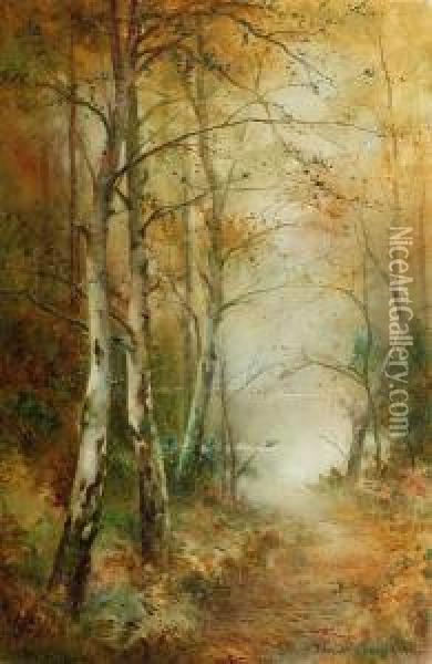 Burnham Beeches; The Path To The Lake Oil Painting - Thomas Tayler Ireland