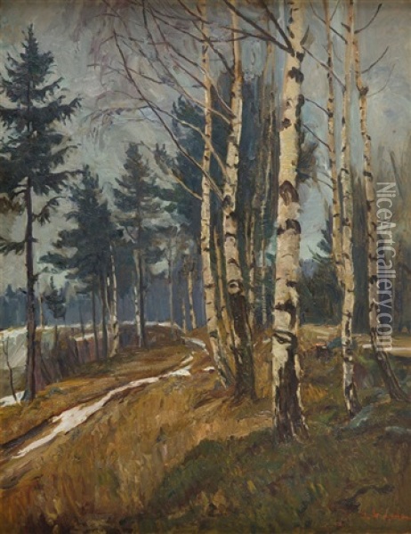 Birch-trees In Karkonosze Oil Painting - Georg Wichmann