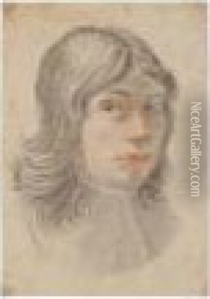 Portrait Of A Young Man, Drawn In An Oval Oil Painting - Carlo Dolci