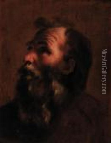 Head Of An Old Man Oil Painting - Gaetano Gandolfi