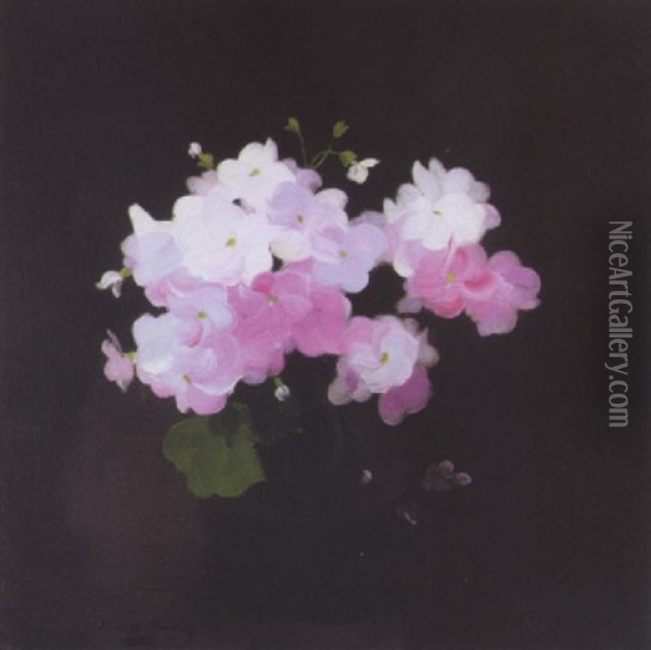 Still Life With Pink Geraniums Oil Painting - Stuart James Park