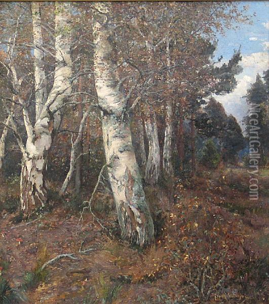 Birch Trees In An Autumn Wood Oil Painting - Franz Schreyer