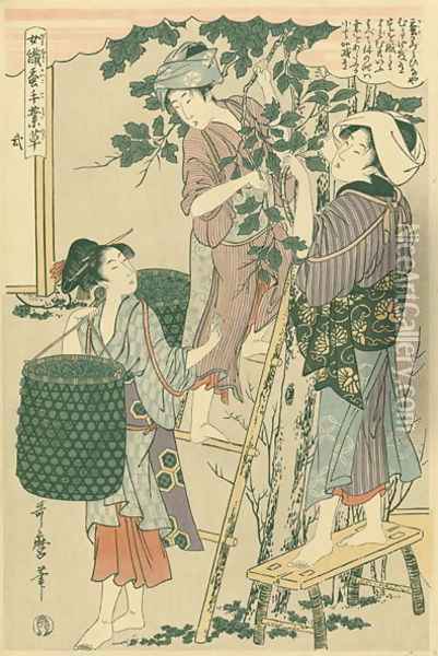 Picking mulberry leaves, no.2 from Joshoku kaiko tewaza-gusa, c.1800 Oil Painting - Kitagawa Utamaro