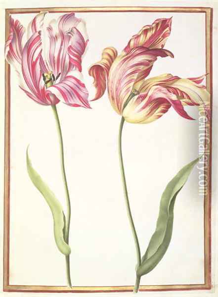Two Broken Tulips Oil Painting - Nicolas Robert