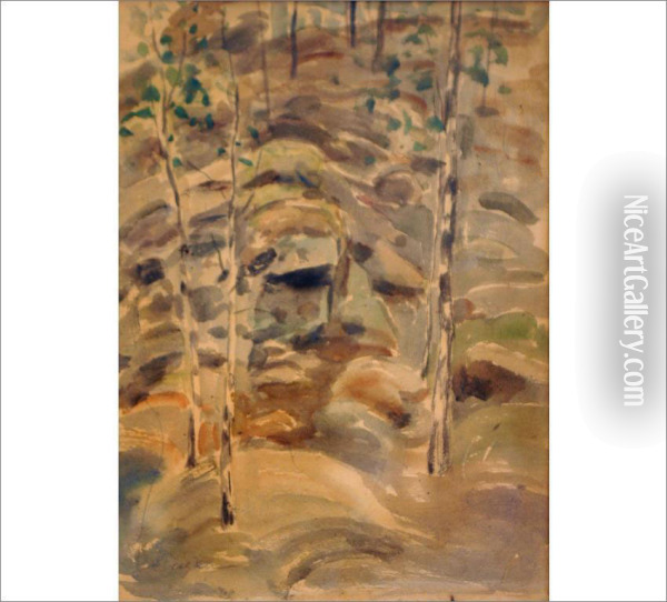 Birches Oil Painting - Joonas Heiska