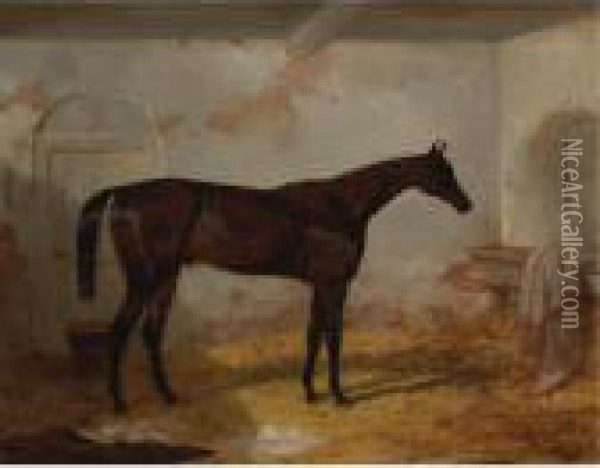 Mr. A. W. Hill's Bay Colt Sweetmeat In A Loose Box Oil Painting - Harry Hall