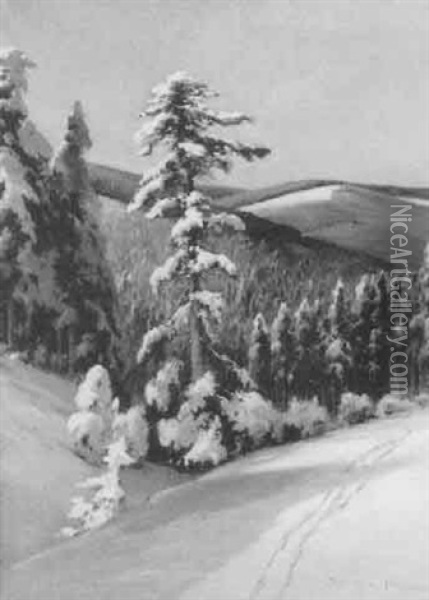 Schneebedeckter Tannenwald An Einem Kalten, Sonnigen Wintermorgen Oil Painting - Franz Schreyer
