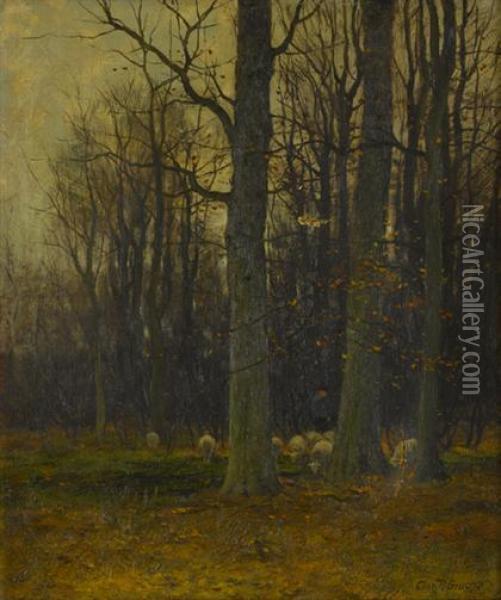 Grazing Sheep In The Woods Oil Painting - Charles Paul Gruppe