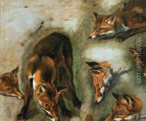Studies of a Fox Oil Painting - Peeter Boel