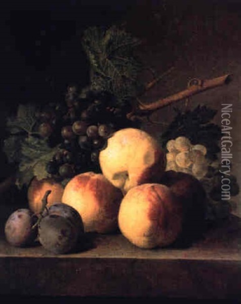 Peches, Prunes Et Raisins Sur Un Entablement De Marbre Oil Painting - Jan Frans Van Dael
