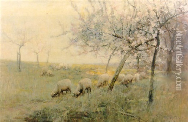 Sheep Grazing In An Orchard Oil Painting - Adam Edwin Proctor