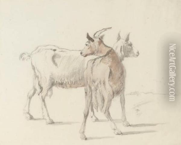 Study Of Goats Oil Painting - Coplestone Warre Bampfylde