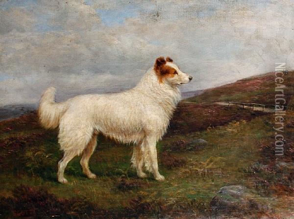 'scott', A Collie On A Moor Oil Painting - William Henderson