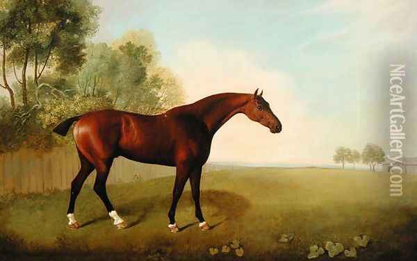 A Bay Horse in a Field, 1778 Oil Painting - John Boultbee