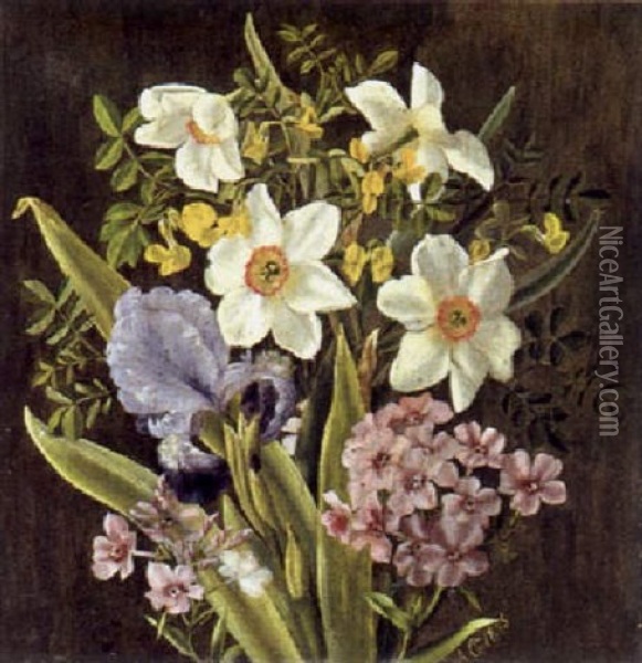 Narzissen, Lilien Und St. Pauli Oil Painting - Anthonie Eleonore (Anthonore) Christensen