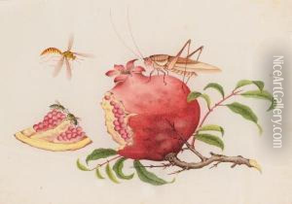 Insects Eating A Pomegranate Oil Painting - You Qua