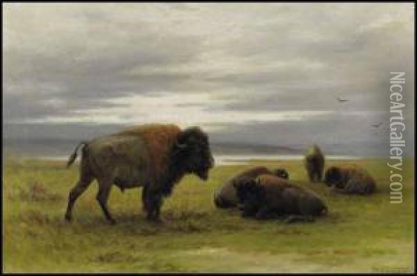 Buffalo On The Prairies Oil Painting - Frederick Arthur Verner