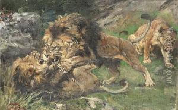 Lions At Play Oil Painting - Geza Vastagh