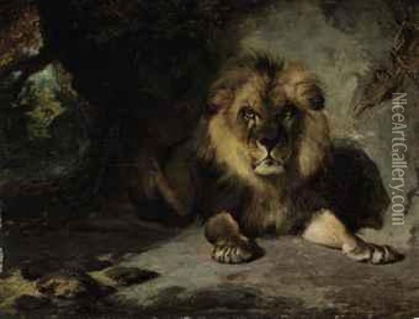 A Lion In His Den Oil Painting - William Huggins