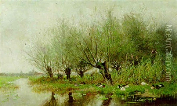 Ducks Resting Under Pollard Willows Oil Painting - Geo Poggenbeek