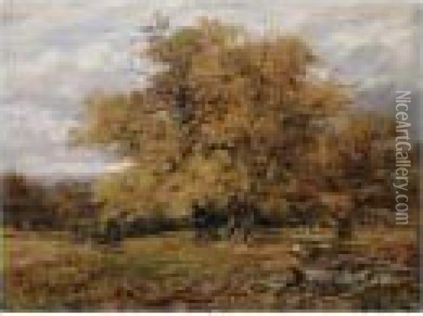Cadzow Forest, Autumn Oil Painting - James Docharty