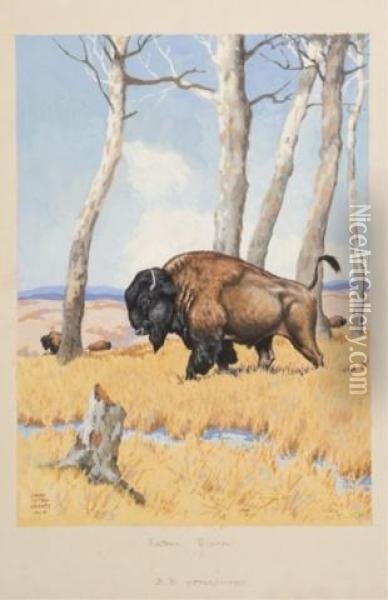 Bison In A Field Oil Painting - Jacob Bates Abbott