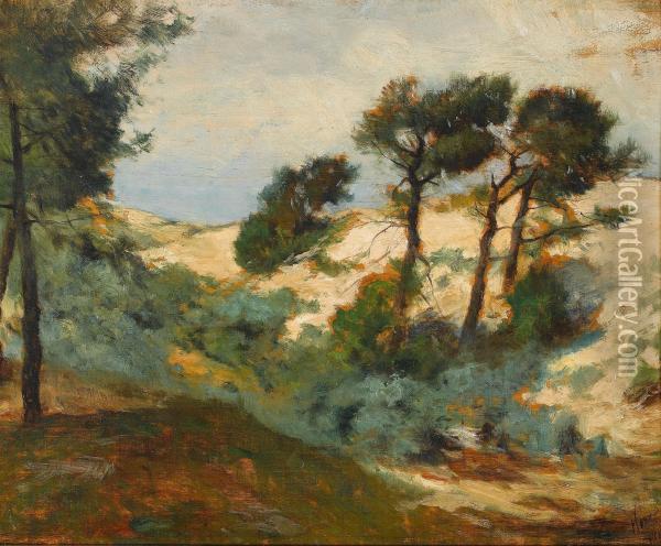 Dunes And Scrub Pine Oil Painting - William Henry Howe