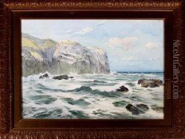 A Rocky Coast With Seagulls Nesting On The Cliffs Oil Painting - Thomas Swift Hutton