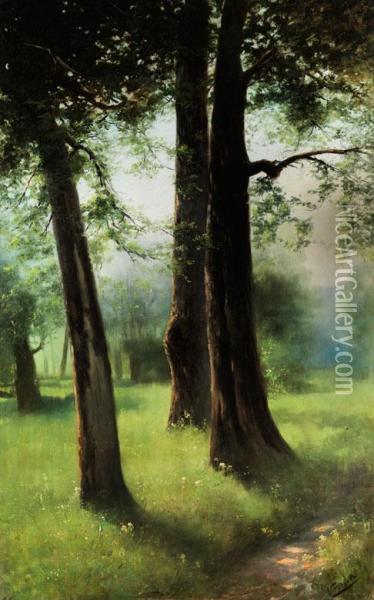 Waldlandschaft Oil Painting - Nikolai Aleksandrovich Sergeev