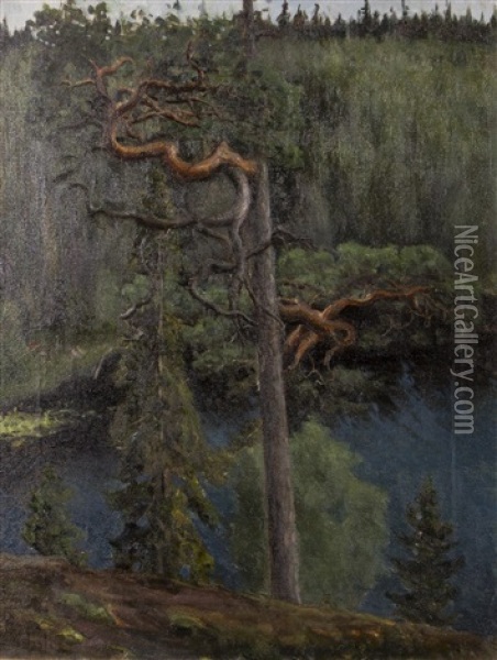 Pine Oil Painting - Berndt Lagerstam