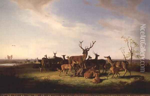 A Herd of Deer in a Sunlit Pasture Oil Painting - Theodor Julius Kiellerup