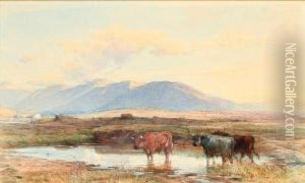The Western Highlands Of Scotland Oil Painting - Henry Brittan Willis