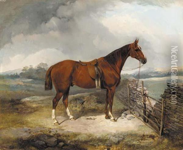A Bay Hunter By A Gate Oil Painting - George Bouverie Goddard
