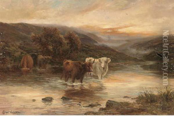 Highland Cattle Watering In A River Landscape Oil Painting - Ernst Walbourn
