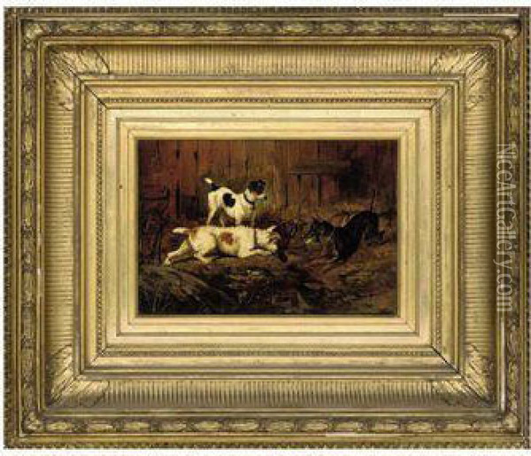Terriers In A Garden Oil Painting - John Arnold Wheeler