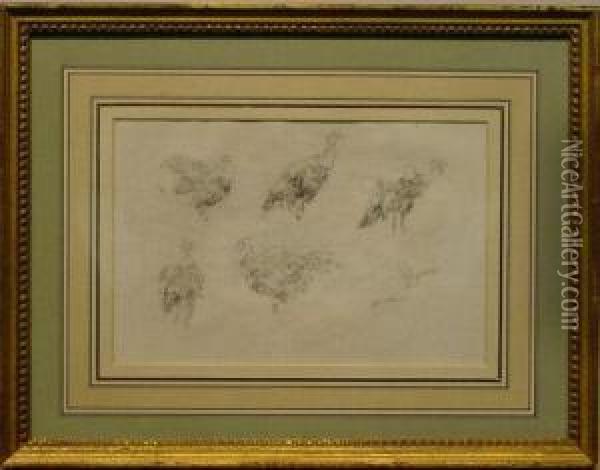 Five Turkeys [recto] And Tree [verso]: A Double-sided Drawing Oil Painting - John Henry Twachtman