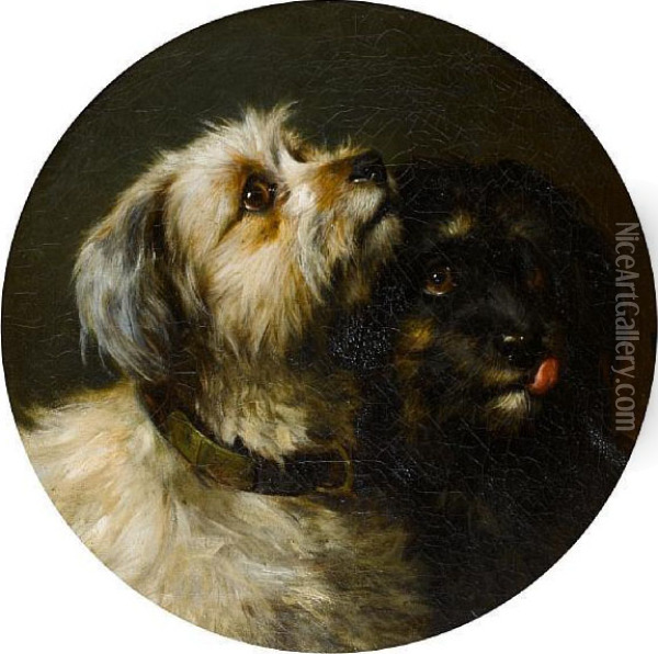 Two Terriers Oil Painting - Thomas William Earl