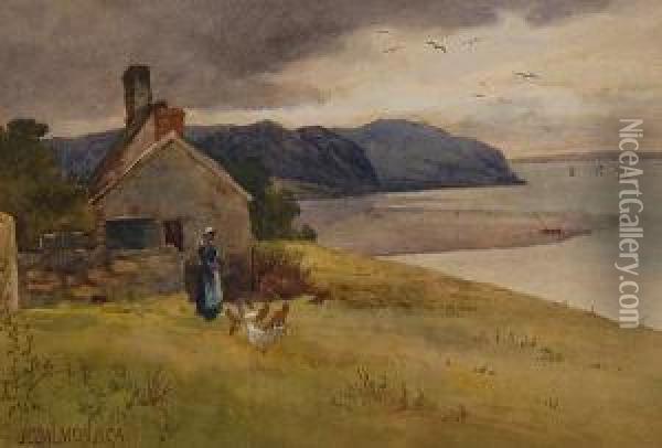 Feeding The Chickens Oil Painting - John Cuthbert Salmon