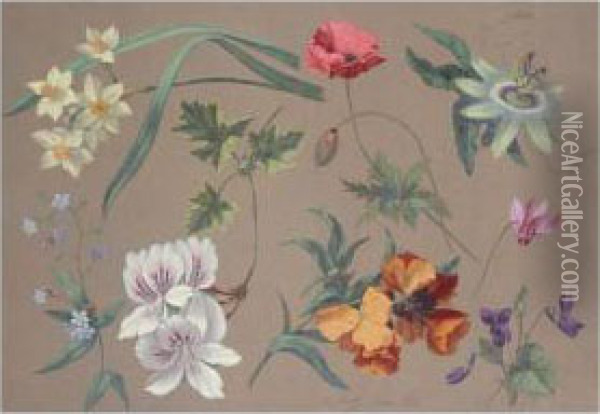 Flower Studies Oil Painting - Carl Adolf Senff