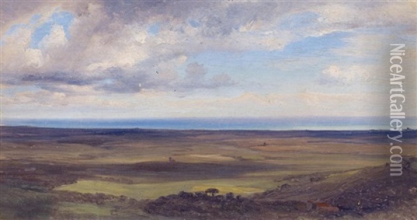 Flache Uferlandschaft Mit Blick Aufs Meer Oil Painting - Friedrich Loos