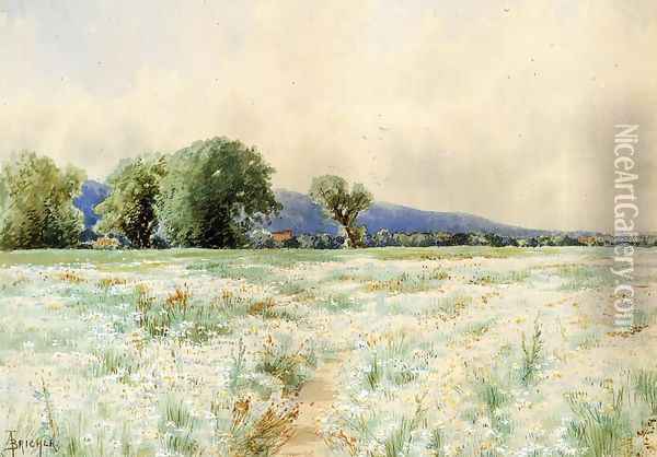 The Daisy Field Oil Painting - Alfred Thompson Bricher