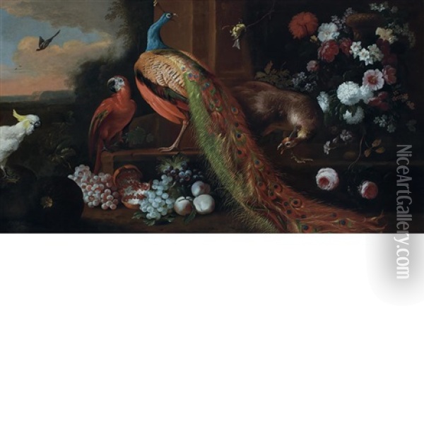 Still Life With A Peacock, Fruit And Flowers Oil Painting - Melchior de Hondecoeter