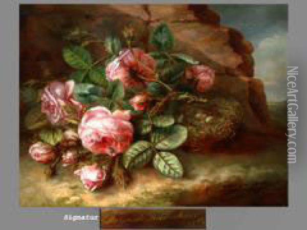 Rosen Neben Vogelnest Oil Painting - Margaretha Roosenboom