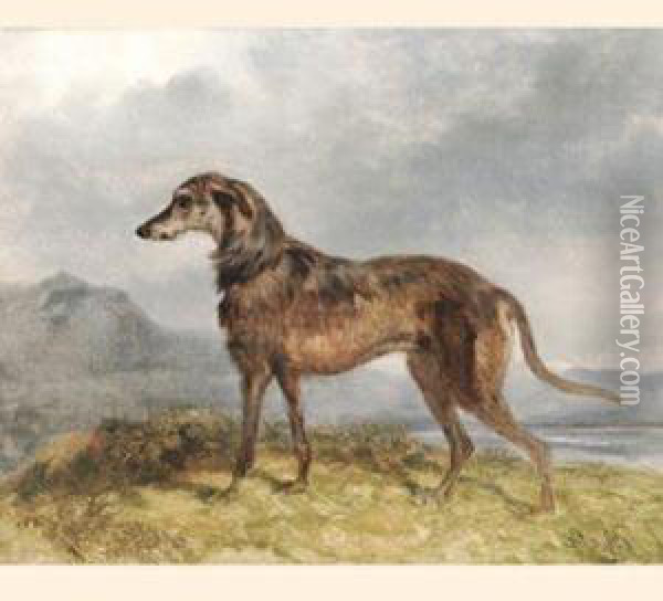 A Deerhound In A Landscape Oil Painting - William Barraud